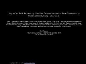 SingleCell RNA Sequencing Identifies Extracellular Matrix Gene Expression