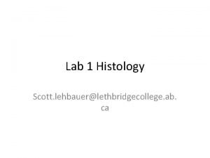 Lab 1 Histology Scott lehbauerlethbridgecollege ab ca Introduction