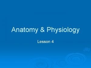 Anatomy Physiology Lesson 4 HISTOLOGY Histology is the