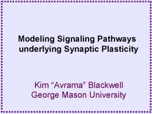 Modeling Signaling Pathways underlying Synaptic Plasticity Kim Avrama