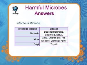 Harmful Microbes Infectious Microbe Bacteria Virus Fungi Disease