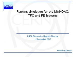 Running simulation for the MiniDAQ TFC and FE