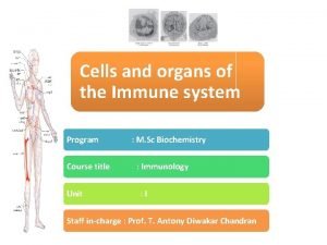 Cells and organs of the Immune system Program