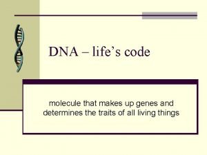 Dna and rna concept map