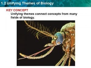 Unifying themes of biology