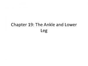 Chapter 19 worksheet the ankle and lower leg