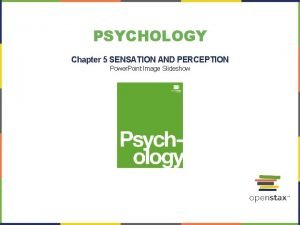 Chapter 5 sensation and perception