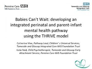 Babies Cant Wait developing an integrated perinatal and