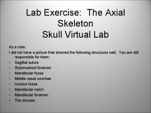 Alveolar margin Alveolar margin