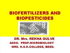 BIOFERTILIZERS AND BIOPESTICIDES DR Mrs REKHA GULVE ASSO