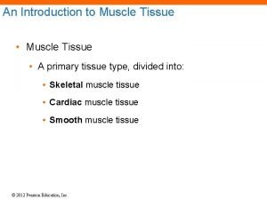 Skeletal muscle contraction steps