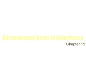 Chromosomal Basis of Inheritance Chapter 15 I Mendels