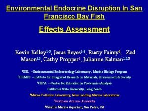 Environmental Endocrine Disruption In San Francisco Bay Fish