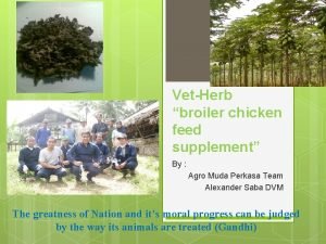 VetHerb broiler chicken feed supplement By Agro Muda