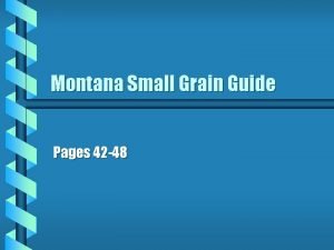 Montana Small Grain Guide Pages 42 48 Crop