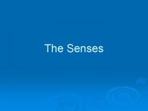 Special vs general senses