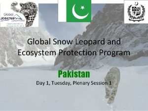 Global Snow Leopard and Ecosystem Protection Program Pakistan