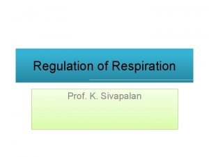 Regulation of Respiration Prof K Sivapalan Introduction Respiration