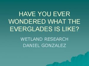 HAVE YOU EVER WONDERED WHAT THE EVERGLADES IS
