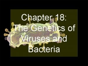 Chapter 18 The Genetics of Viruses and Bacteria