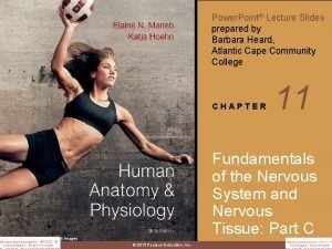 Graded potential vs action potential Graded potential vs action potential