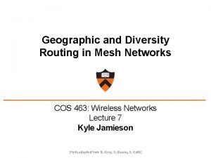 Geographic and Diversity Routing in Mesh Networks COS