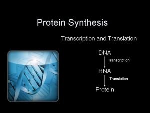Protein Synthesis Transcription and Translation DNA Transcription RNA Protein Synthesis Transcription and Translation DNA Transcription RNA