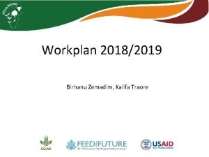 Workplan 20182019 Birhanu Zemadim Kalifa Traore Outcome no