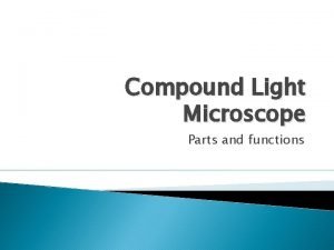 Compound light microscope parts and functions