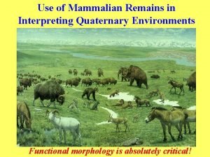 Use of Mammalian Remains in Interpreting Quaternary Environments