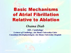 Basic Mechanisms of Atrial Fibrillation Relative to Ablation