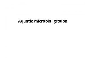 Aquatic microbial groups Generally the concentration of bacteria