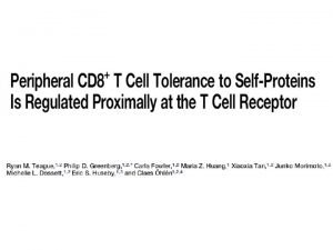 1 Activation of tolerant TCR transgenic CD 8