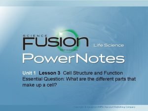 Lesson 3 cell structure and function answer key