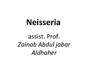 Neisseria assist Prof Zainab Abdul jabar Aldhaher The