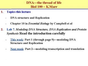 DNAthe thread of life Biol 100 K Marr