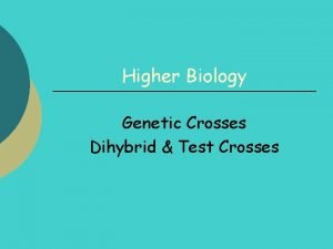 Higher Biology Genetic Crosses Dihybrid Test Crosses Genetic