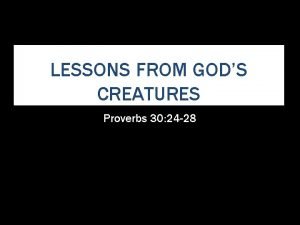 LESSONS FROM GODS CREATURES Proverbs 30 24 28