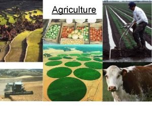 Agriculture Agriculture Deliberate land modification through plant cultivation