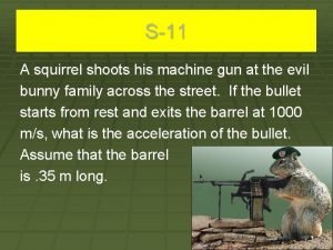 S11 A squirrel shoots his machine gun at