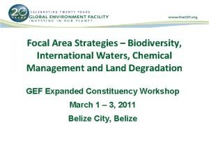 Focal Area Strategies Biodiversity International Waters Chemical Management
