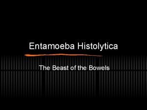 Entamoeba Histolytica The Beast of the Bowels Profile