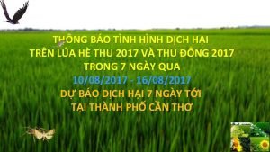 THNG BO TNH HNH DCH HI TRN LA