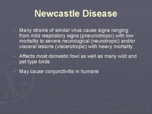 Newcastle Disease Many strains of similar virus cause