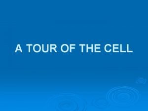 A TOUR OF THE CELL Prokaryotic and eukaryotic