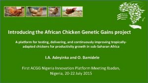 Introducing the African Chicken Genetic Gains project A