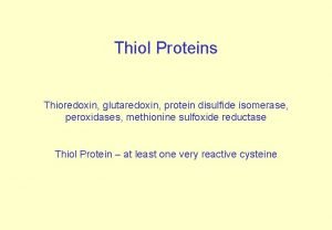 Thiol Proteins Thioredoxin glutaredoxin protein disulfide isomerase peroxidases