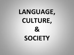 Relationship between society and culture