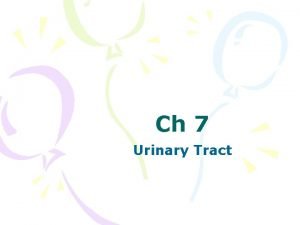Ch 7 Urinary Tract Function Remove nitrogenous wastes
