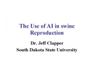 Boar dummy suppliers Boar dummy suppliers